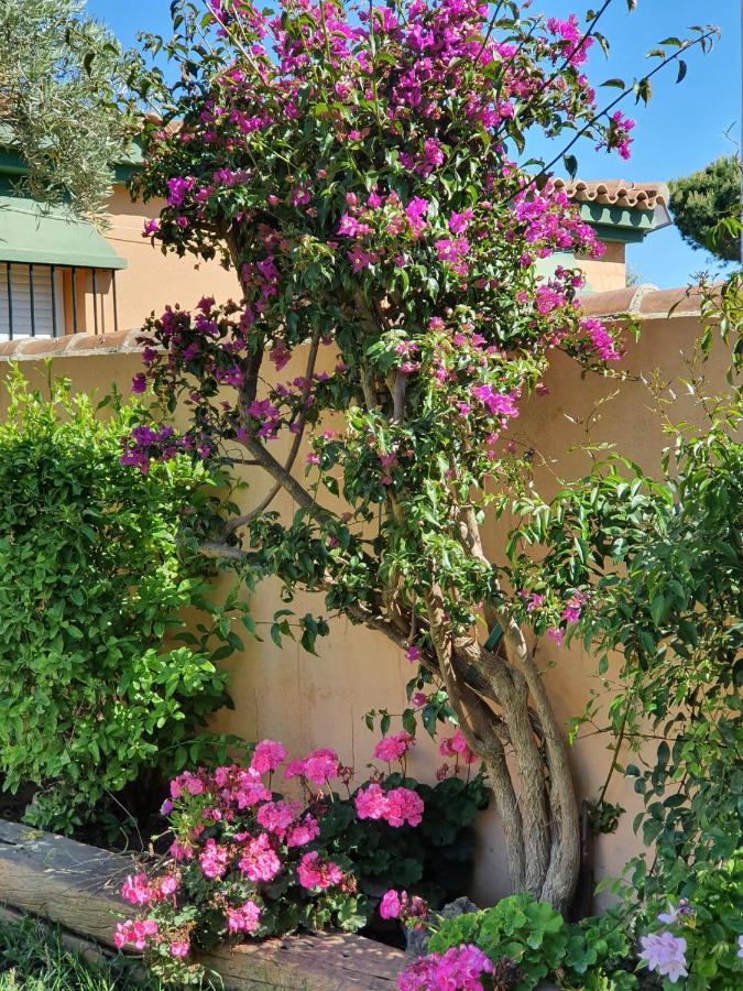 Villa Ostrero Chiclana de la Frontera Exteriér fotografie